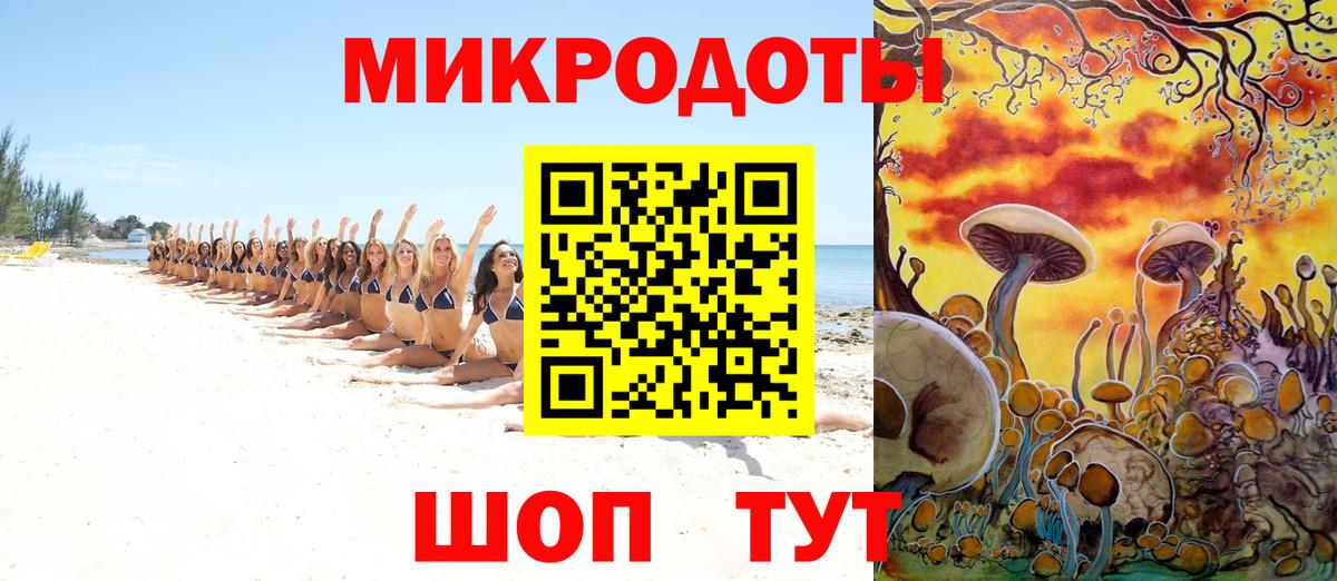 Галлюциногенные грибы Psilocybine cubensis  Галлюциногенные грибы Magic Shrooms  Кудрово  Вход с VPN 