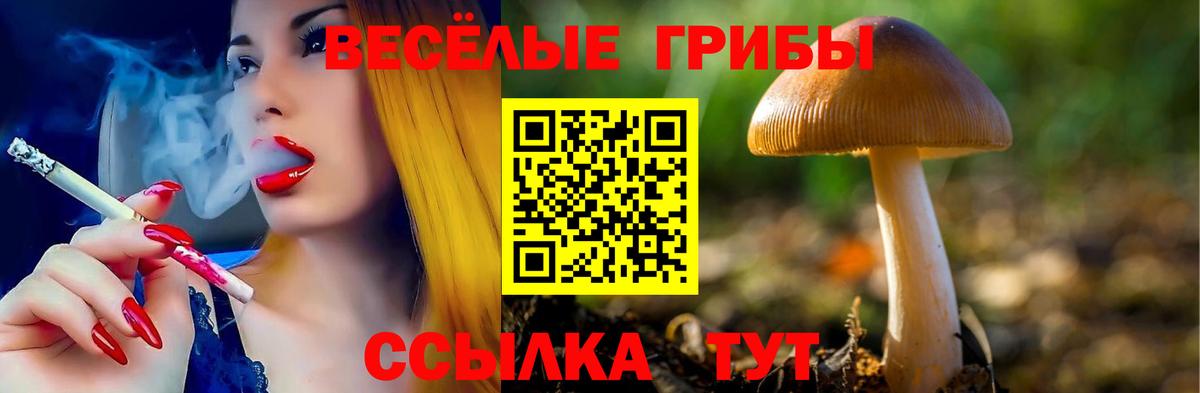 Альфа ПВП Кудрово