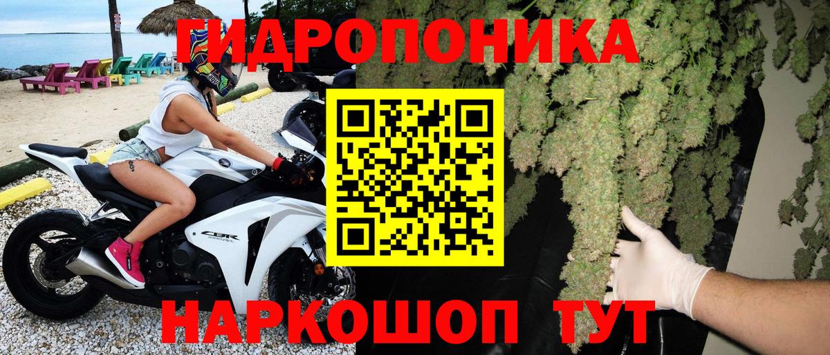 Бошки марихуана White Widow Кудрово